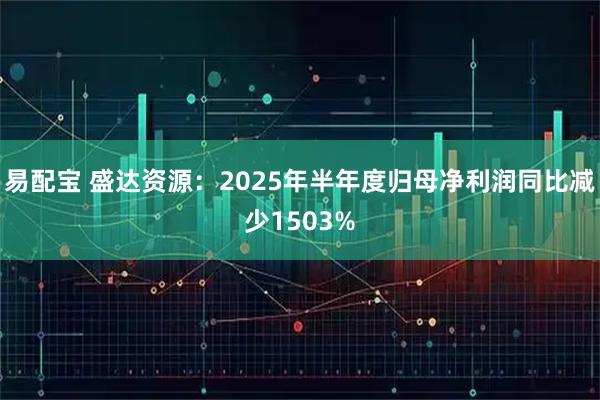 易配宝 盛达资源：2025年半年度归母净利润同比减少1503%